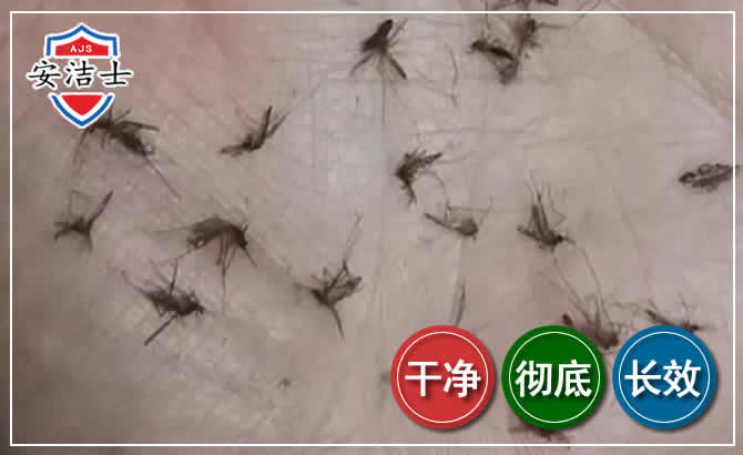 屯昌蚊子防治-灭蚊