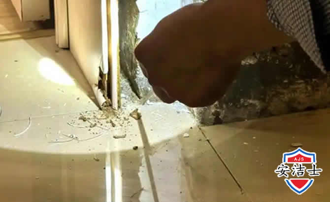 屯昌房屋建筑防治白蚁