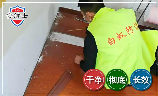 屯昌除四害现场