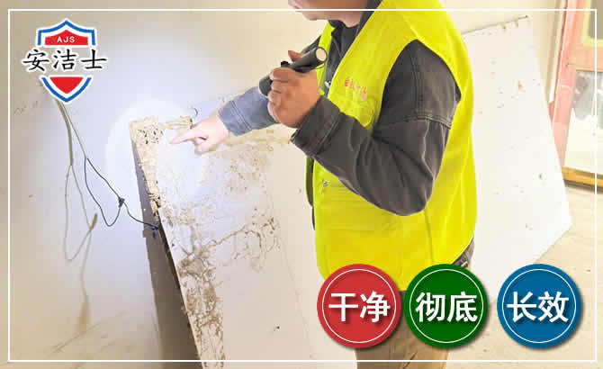 屯昌除白蚁现场