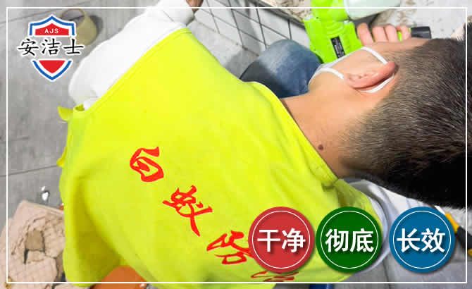 屯昌白蚁根治现场